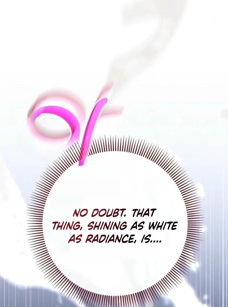 It’s My Destiny To Be The Hero’s Saviour chapter 147 page 166
