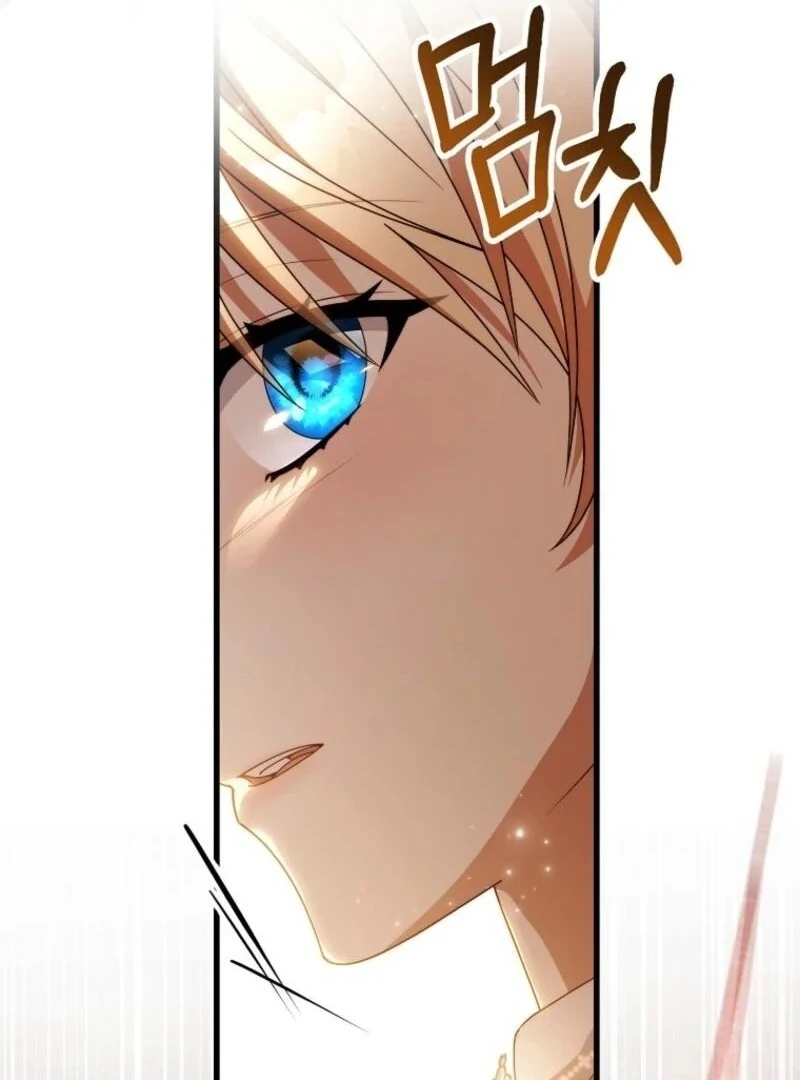 It’s My Destiny To Be The Hero’s Saviour chapter 148 page 117