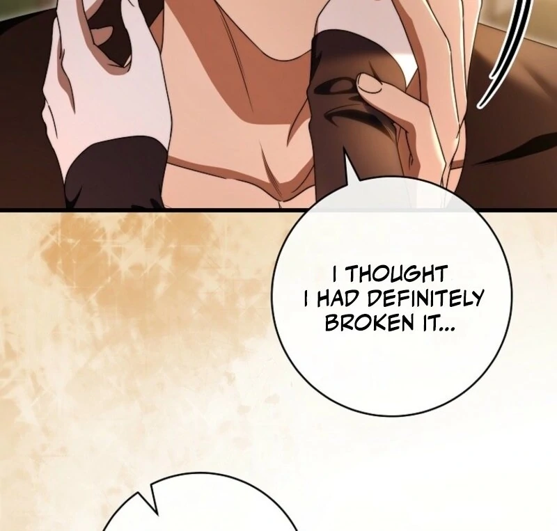 It’s My Destiny To Be The Hero’s Saviour chapter 150 page 84