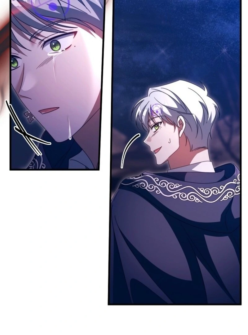 It’s My Destiny To Be The Hero’s Saviour chapter 153 page 137