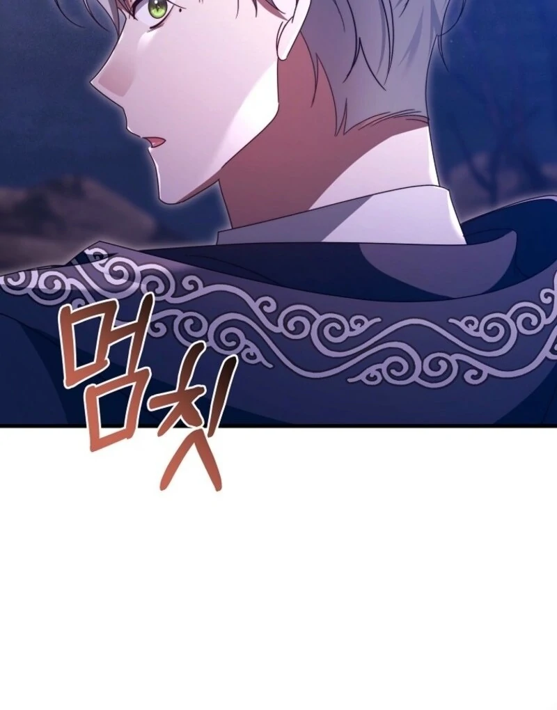 It’s My Destiny To Be The Hero’s Saviour chapter 153 page 139