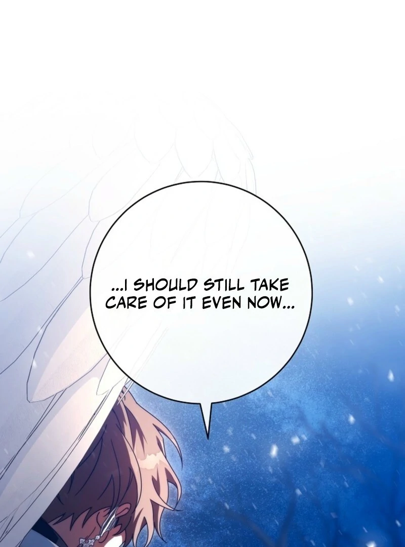 It’s My Destiny To Be The Hero’s Saviour chapter 154 page 116