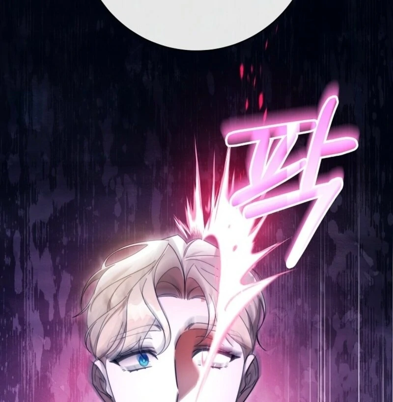 It’s My Destiny To Be The Hero’s Saviour chapter 155 page 64