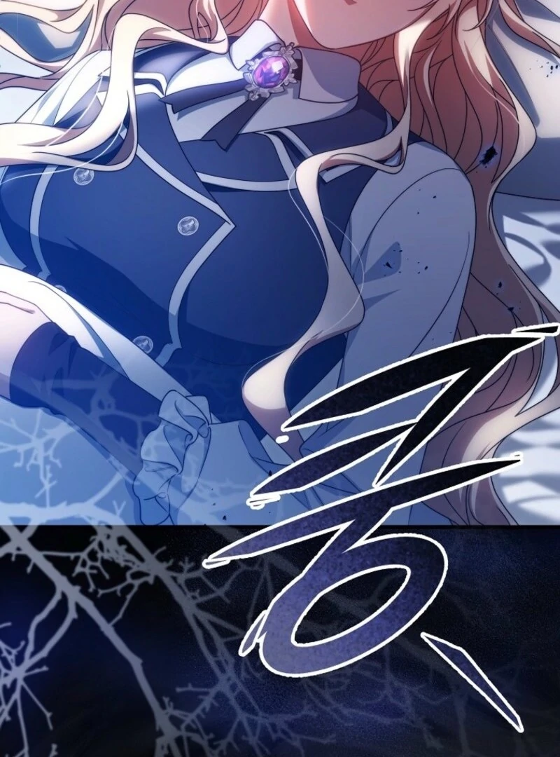 It’s My Destiny To Be The Hero’s Saviour chapter 155 page 149