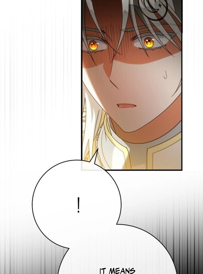 It’s My Destiny To Be The Hero’s Saviour chapter 157 page 105