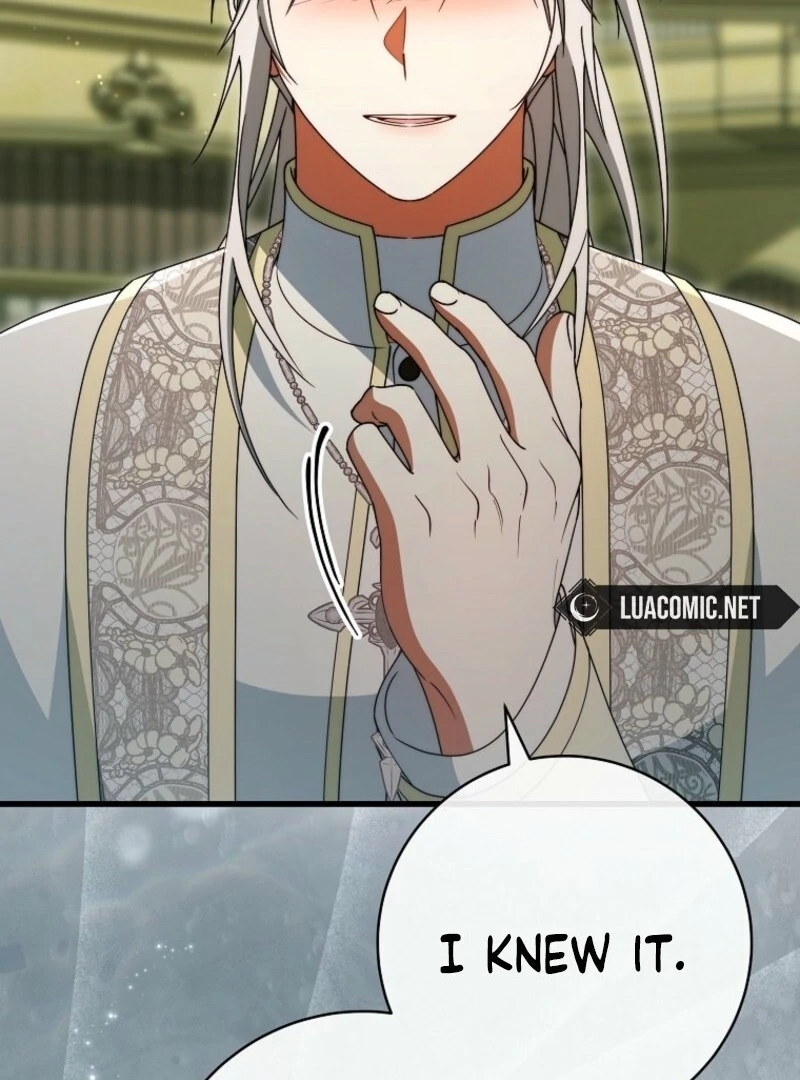 It’s My Destiny To Be The Hero’s Saviour chapter 159 page 113
