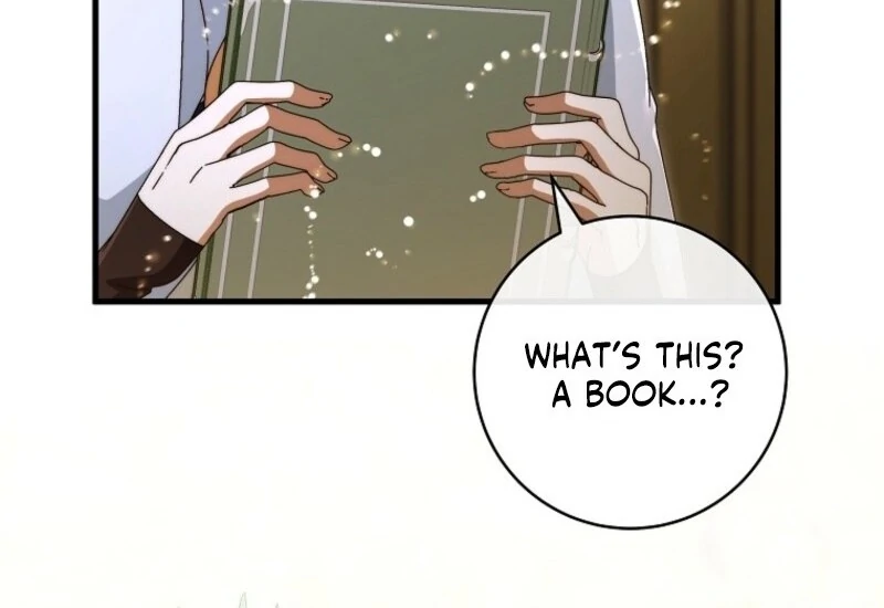 It’s My Destiny To Be The Hero’s Saviour chapter 161 page 13