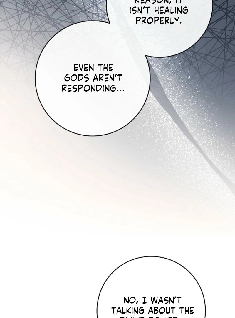 It’s My Destiny To Be The Hero’s Saviour chapter 162 page 77