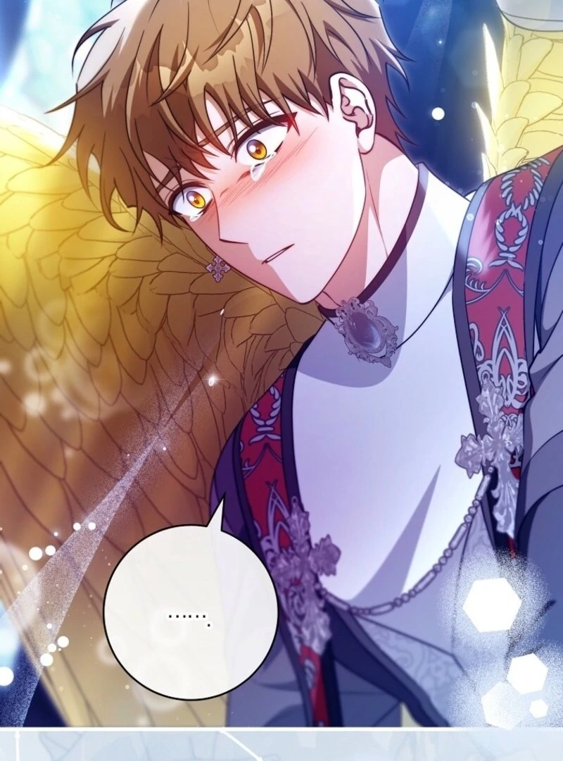 It’s My Destiny To Be The Hero’s Saviour chapter 162 page 127