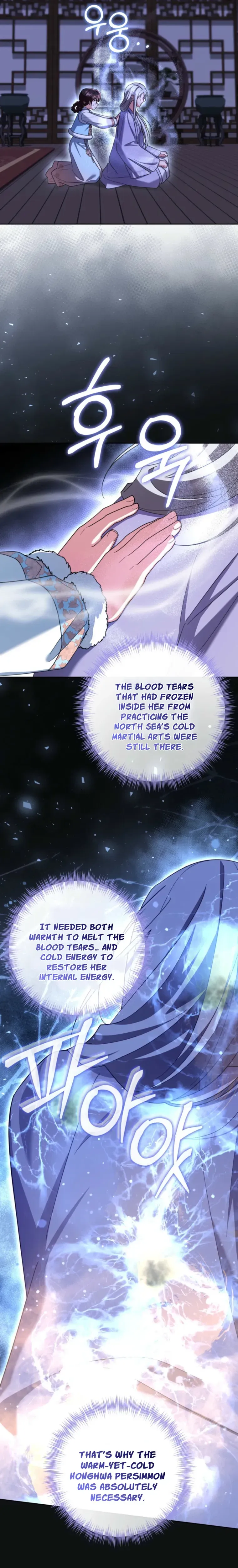 Time Limited Elixir of the Fallen Sega chapter 104 page 25
