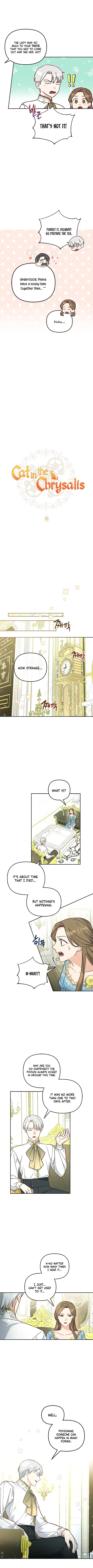 Cat in the Chrysalis chapter 16 page 2