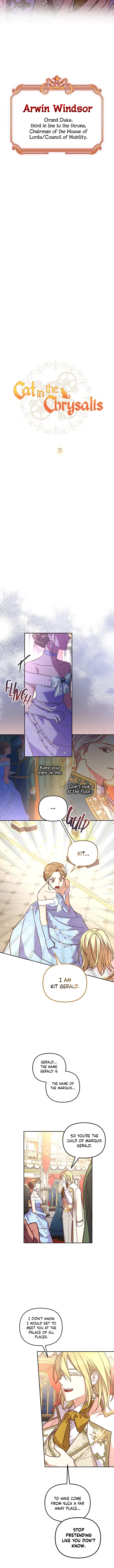 Cat in the Chrysalis chapter 30 page 7