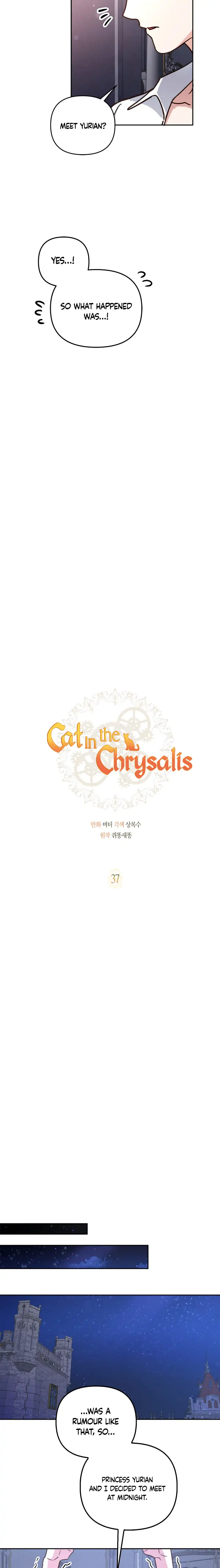 Cat in the Chrysalis chapter 37 page 4