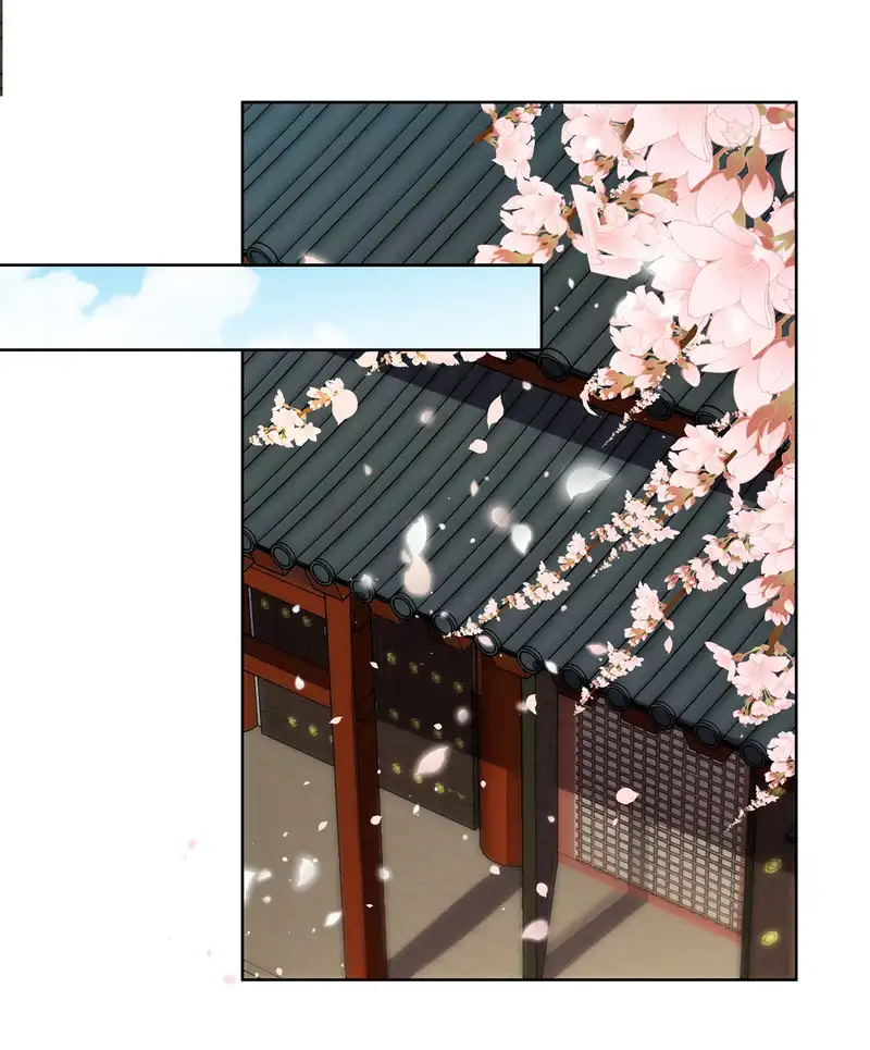 Pink Blossoms Mirror Your Beauty chapter 57 page 2