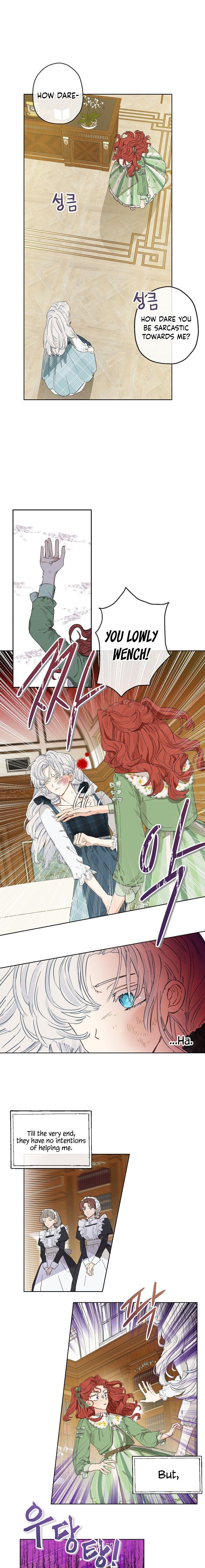 When The Count’s Illegitimate Daughter Gets Married chapter 1 page 7