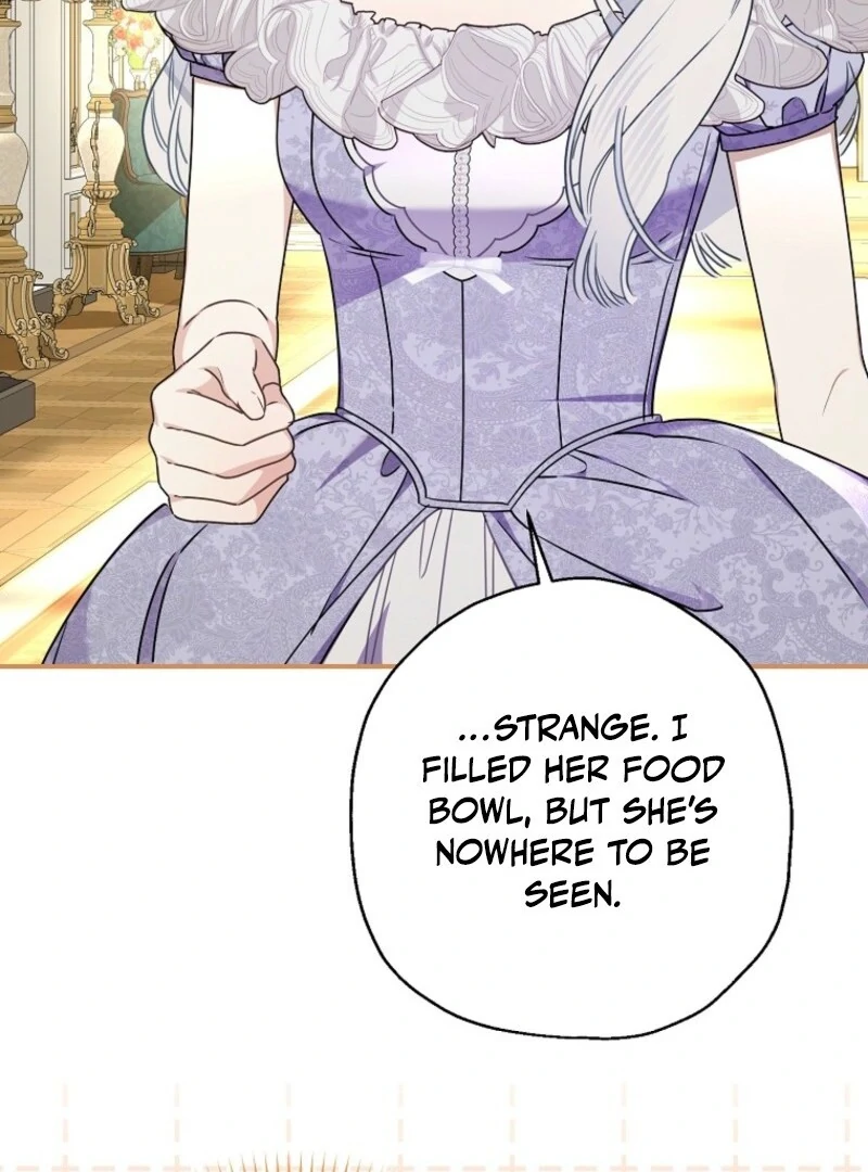 When The Count’s Illegitimate Daughter Gets Married chapter 112 page 47