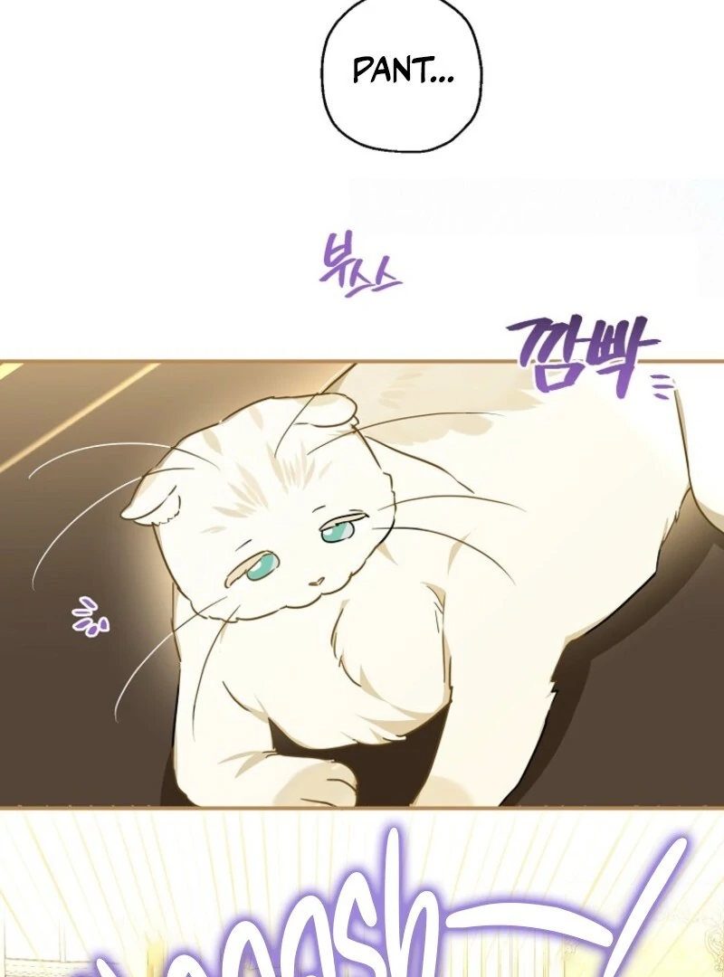 When The Count’s Illegitimate Daughter Gets Married chapter 112 page 64