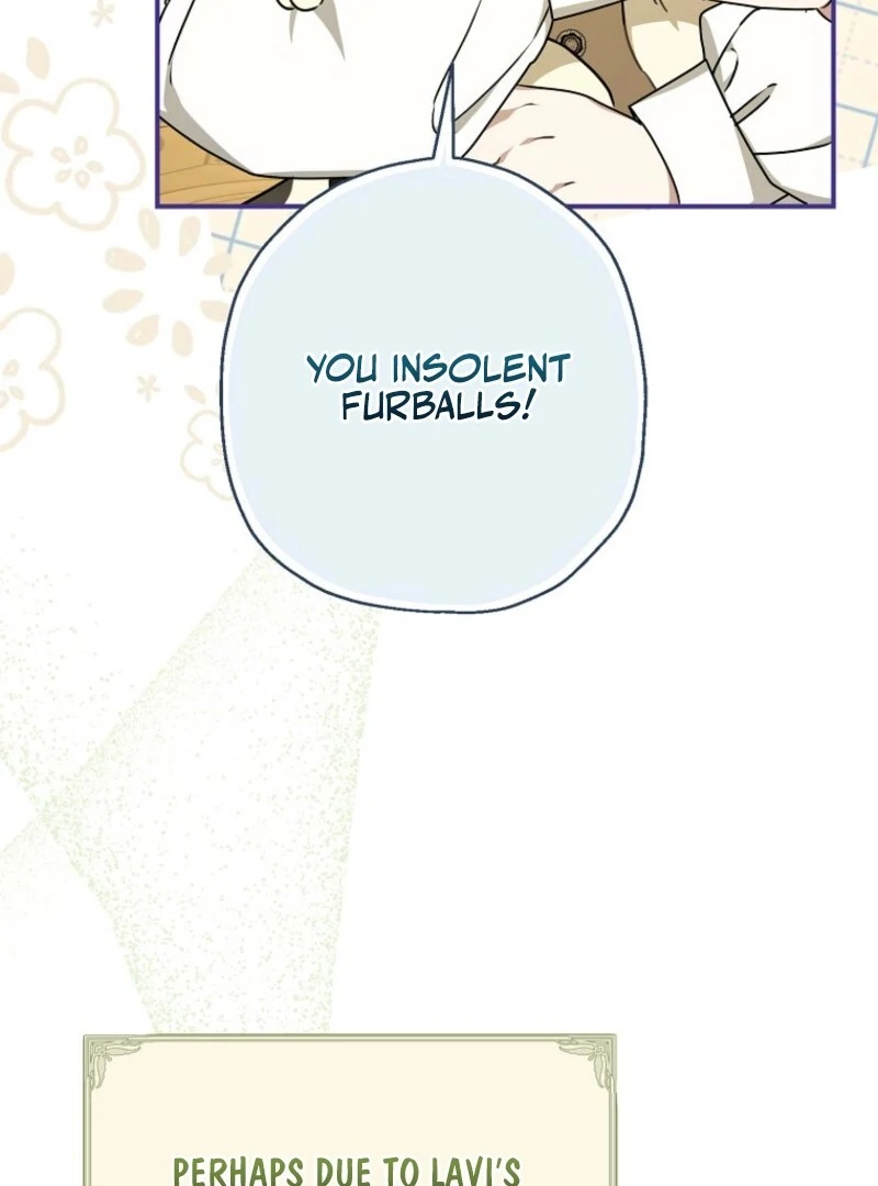 When The Count’s Illegitimate Daughter Gets Married chapter 114 page 19