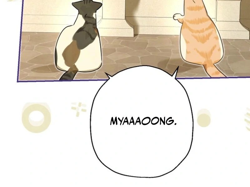 When The Count’s Illegitimate Daughter Gets Married chapter 114 page 24