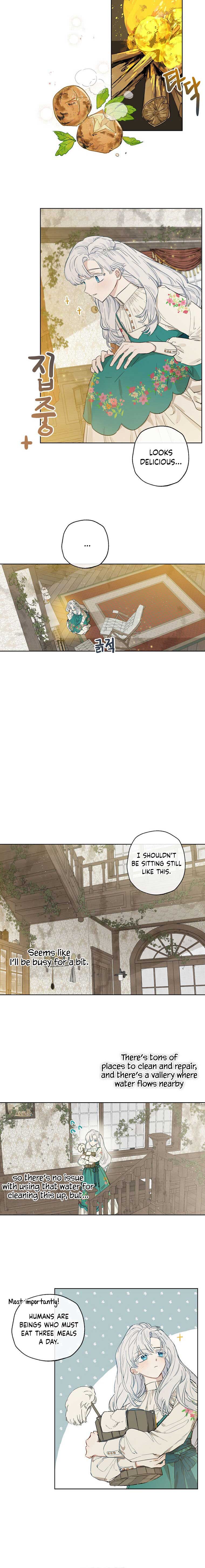 When The Count’s Illegitimate Daughter Gets Married chapter 2 page 19