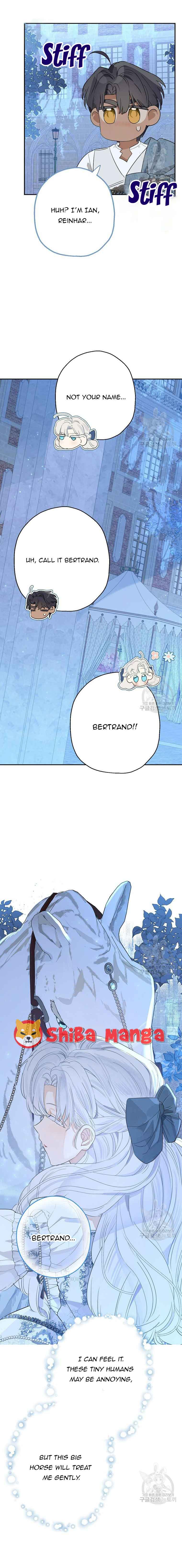 When The Count’s Illegitimate Daughter Gets Married chapter 67 page 8