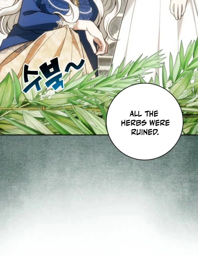 The Obsessive Emperor’s Capable Pharmacist chapter 53 page 85