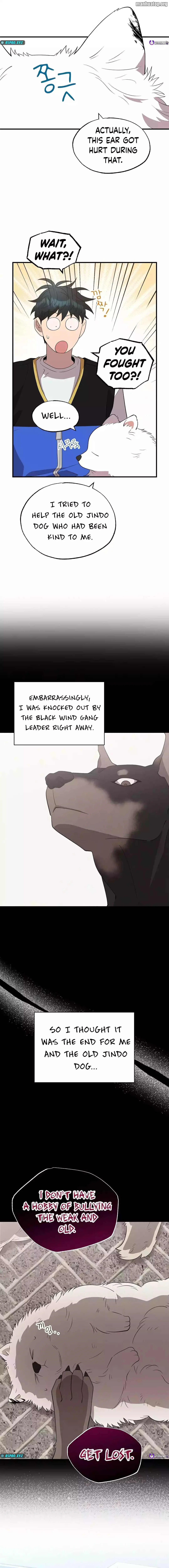 Magical Realm Shopkeeper chapter 40 page 12