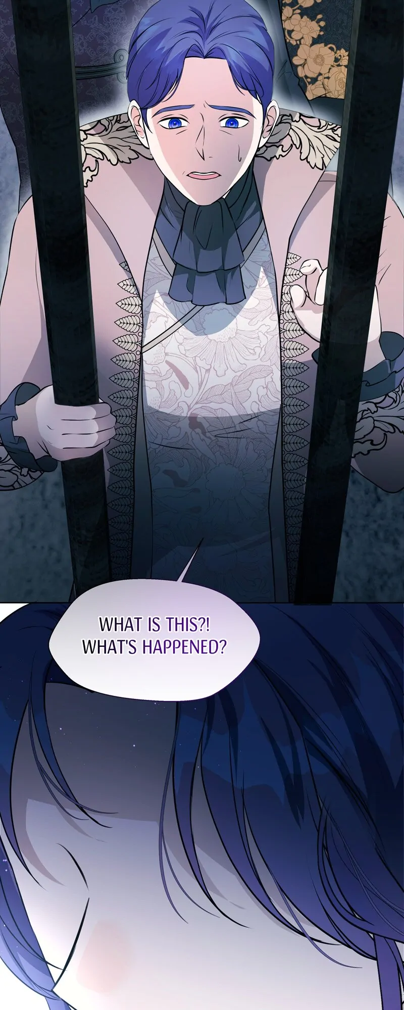 The Dame In Shining Armor chapter 14 page 67