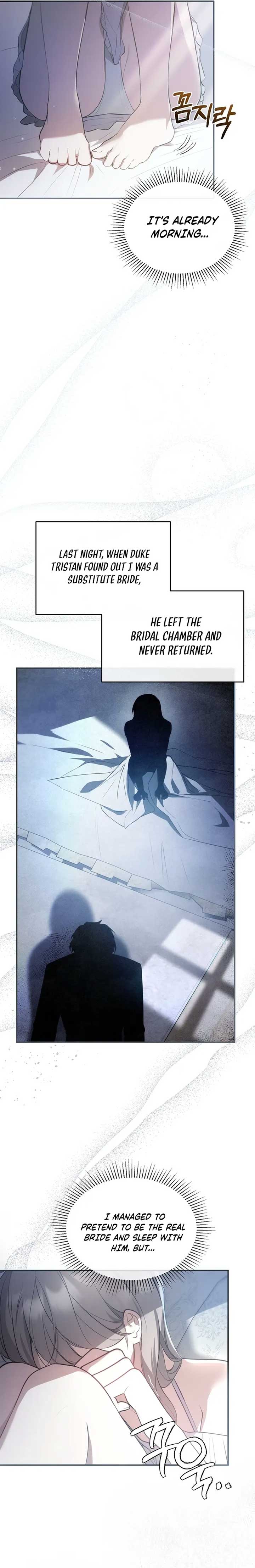 The Substitute Bride chapter 2 page 12