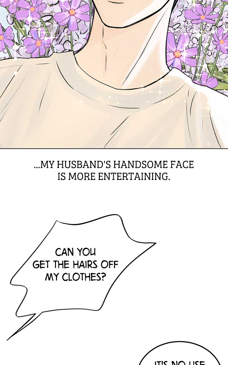Want to See My Cat? chapter 1 page 5
