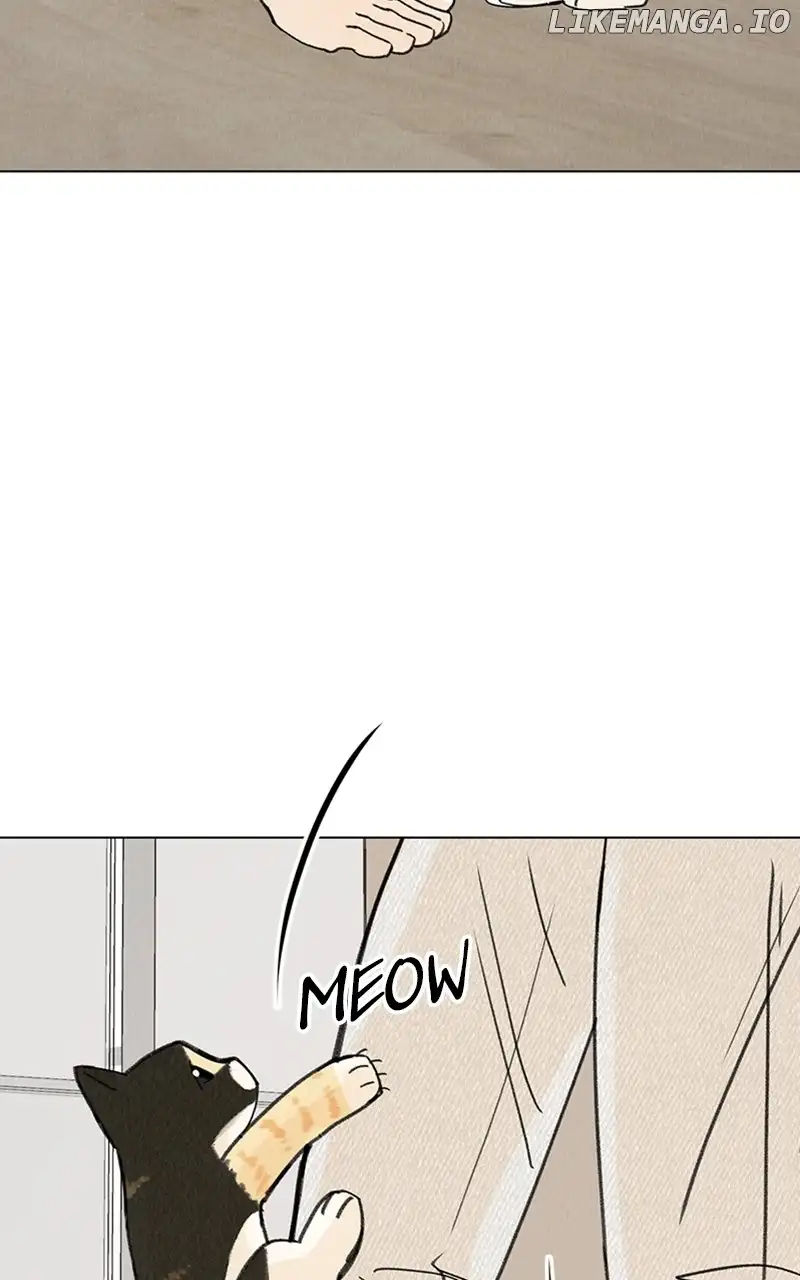 Want to See My Cat? chapter 11 page 24