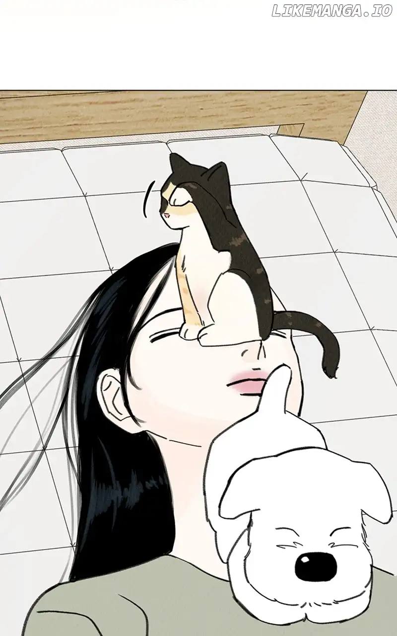 Want to See My Cat? chapter 12 page 16