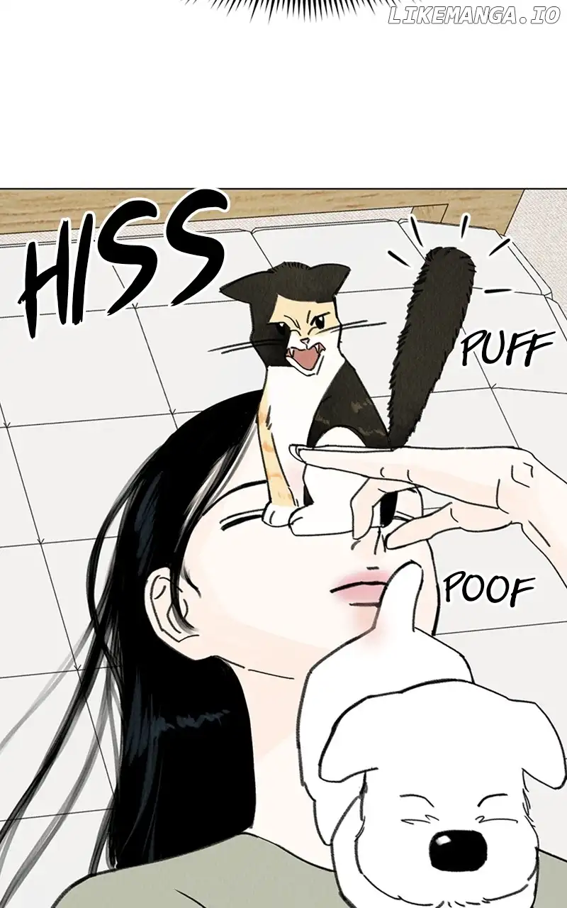 Want to See My Cat? chapter 12 page 22