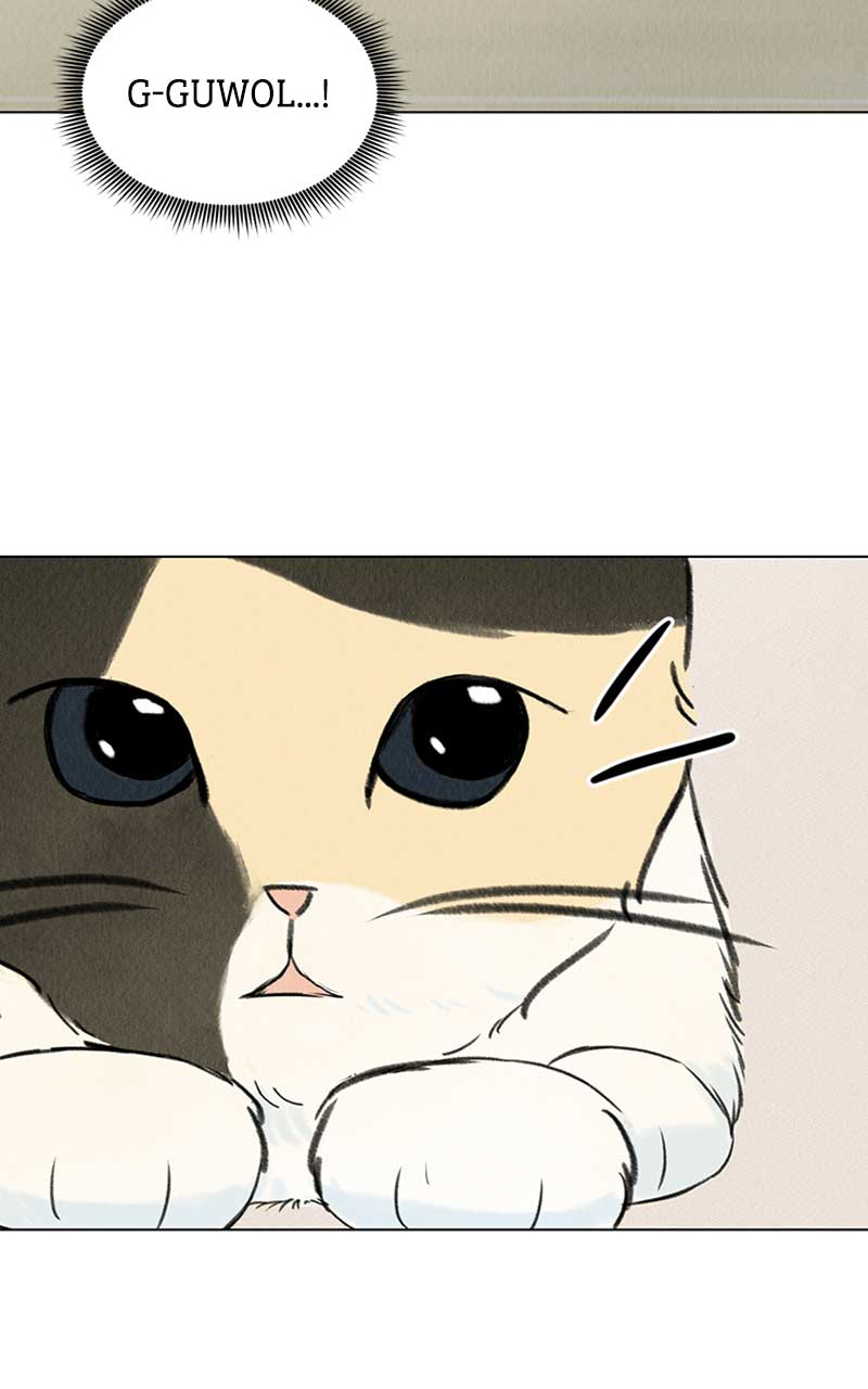 Want to See My Cat? chapter 2 page 4