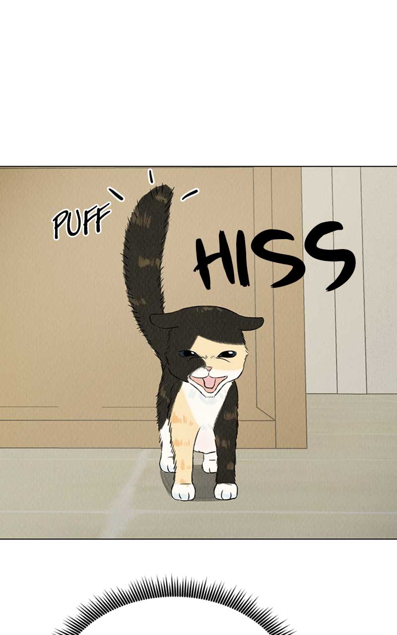 Want to See My Cat? chapter 2 page 5