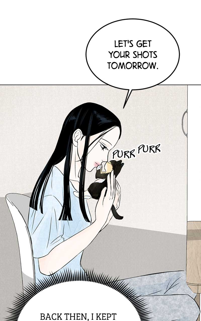 Want to See My Cat? chapter 2 page 28