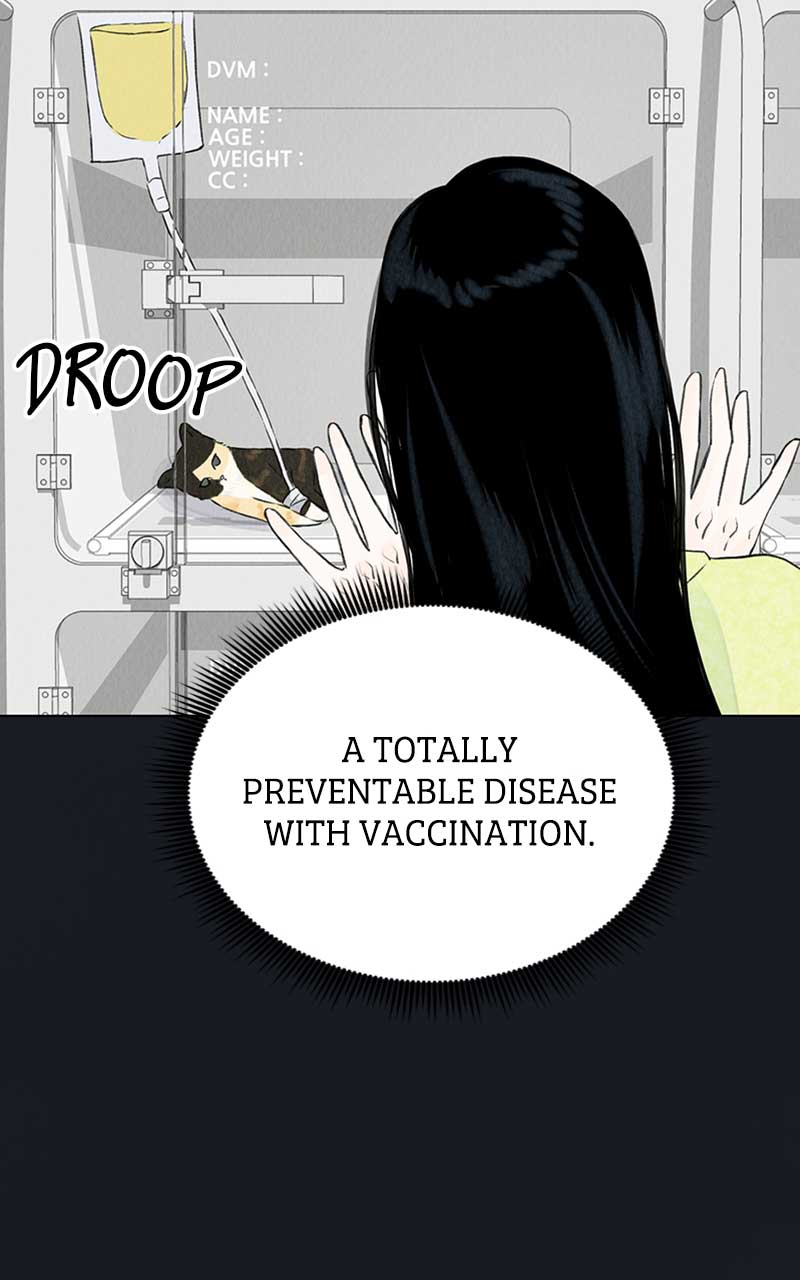 Want to See My Cat? chapter 2 page 30