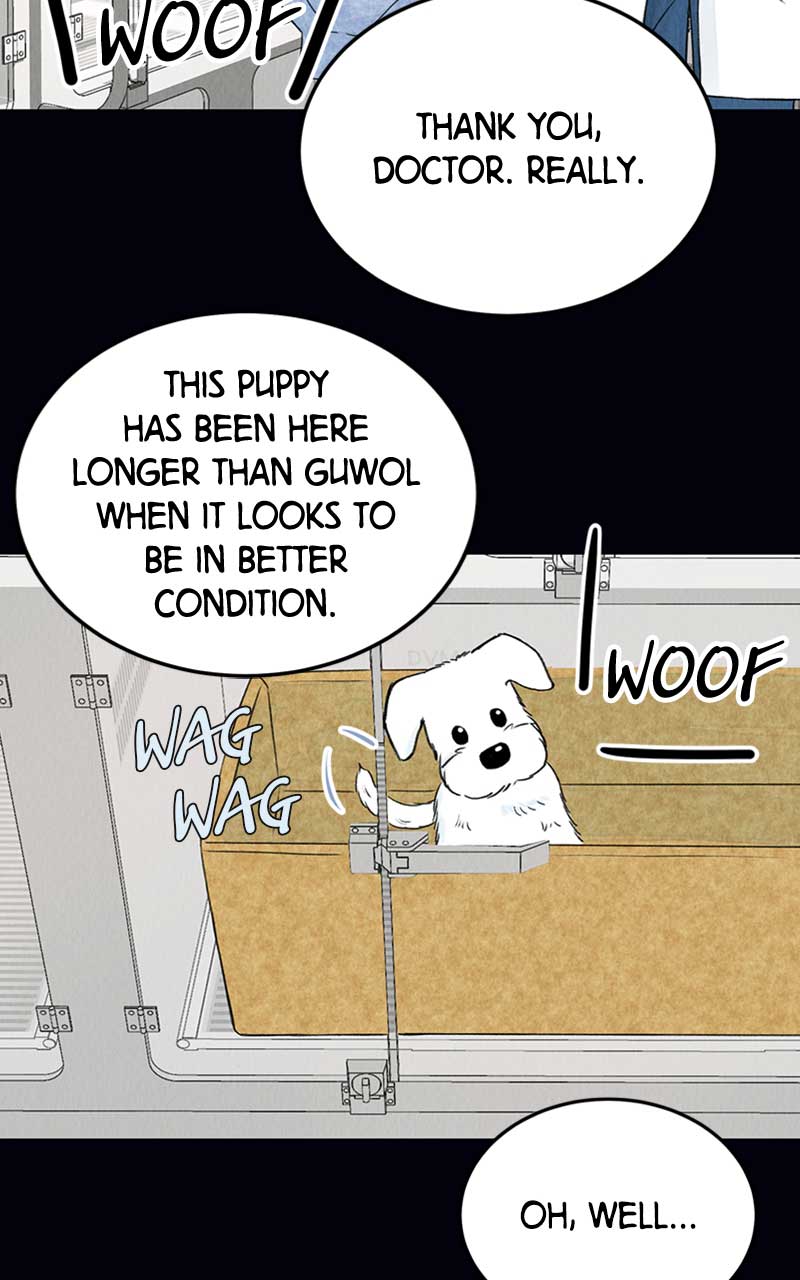 Want to See My Cat? chapter 2 page 37