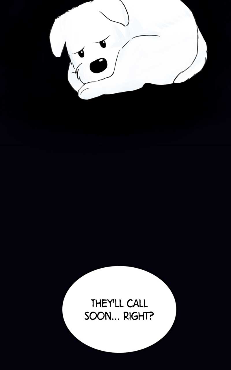 Want to See My Cat? chapter 2 page 41