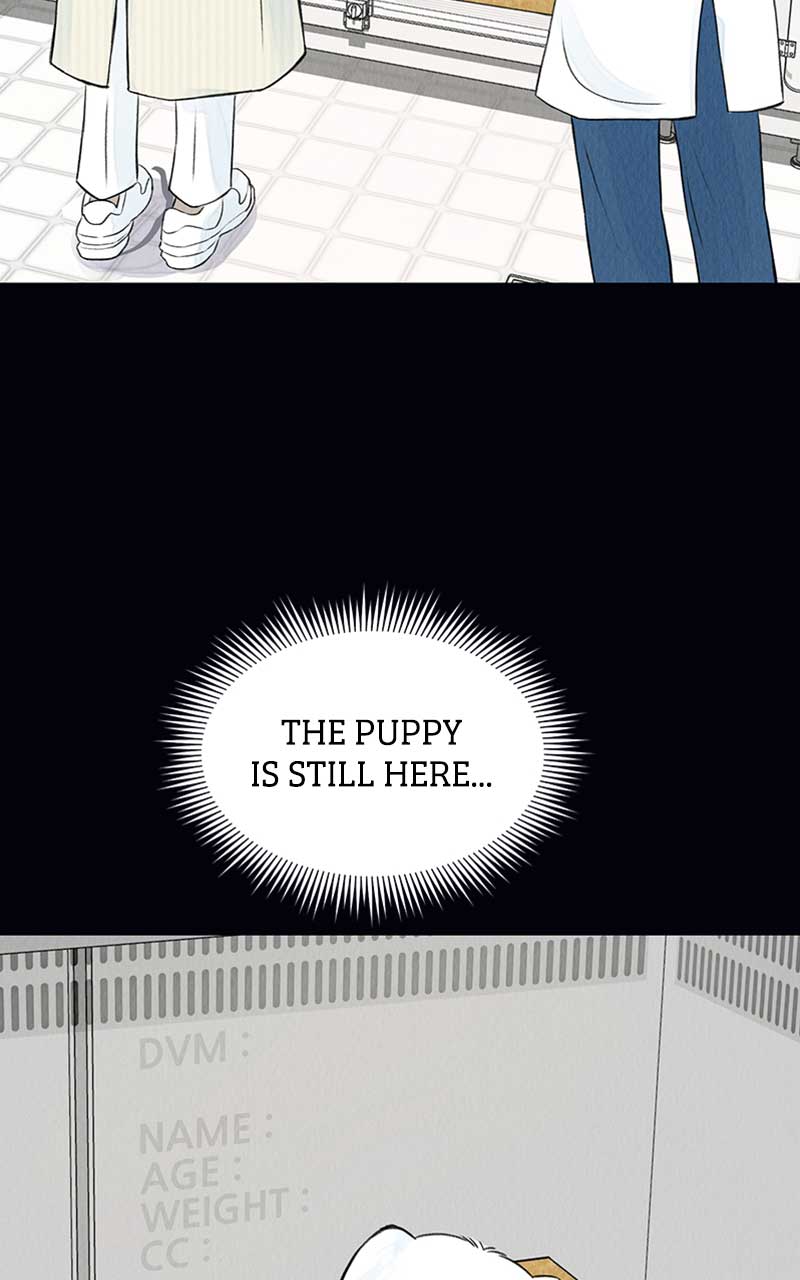 Want to See My Cat? chapter 2 page 47