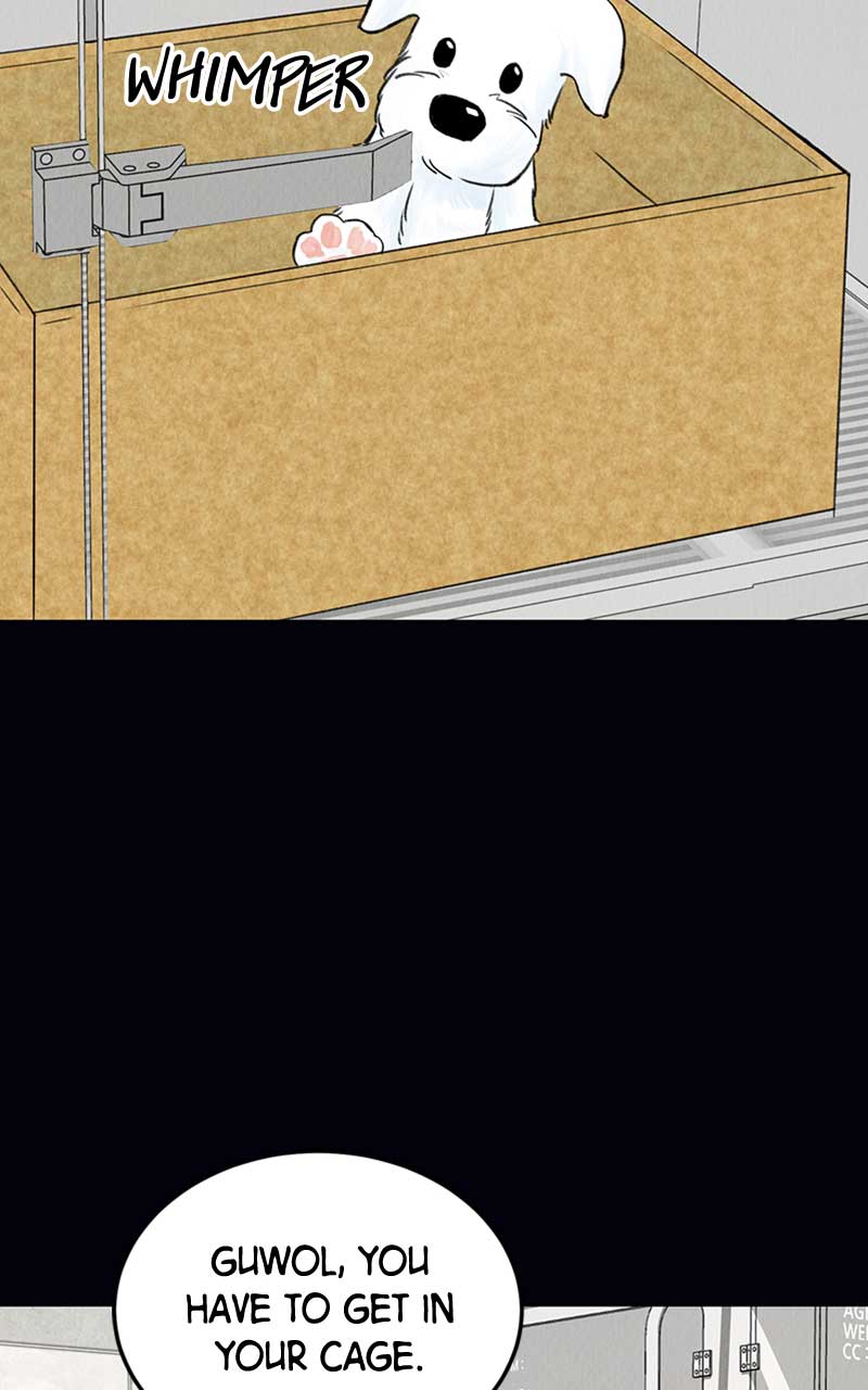 Want to See My Cat? chapter 2 page 48