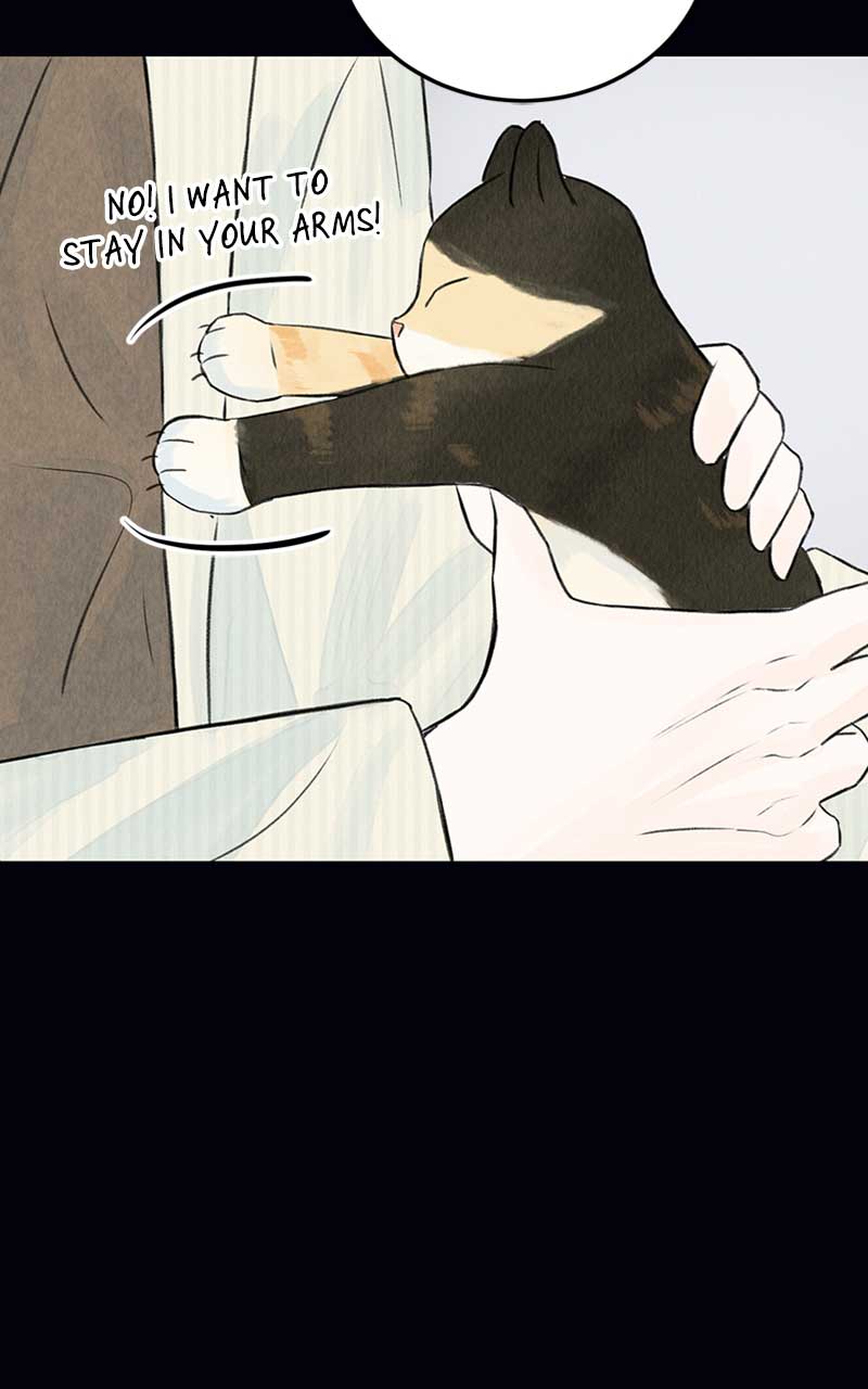 Want to See My Cat? chapter 2 page 50