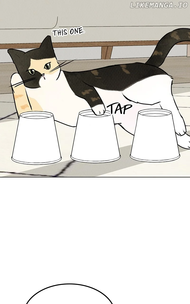 Want to See My Cat? chapter 23 page 43