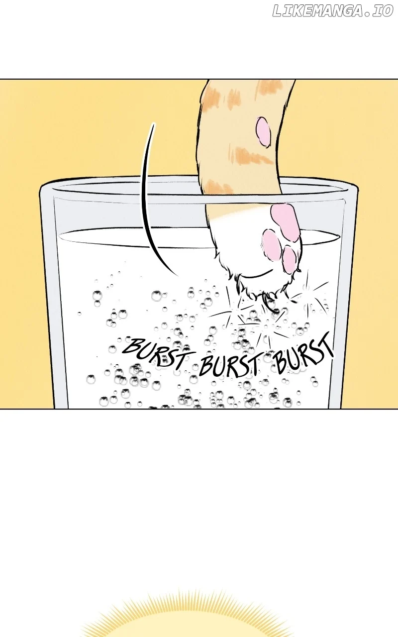 Want to See My Cat? chapter 25 page 31
