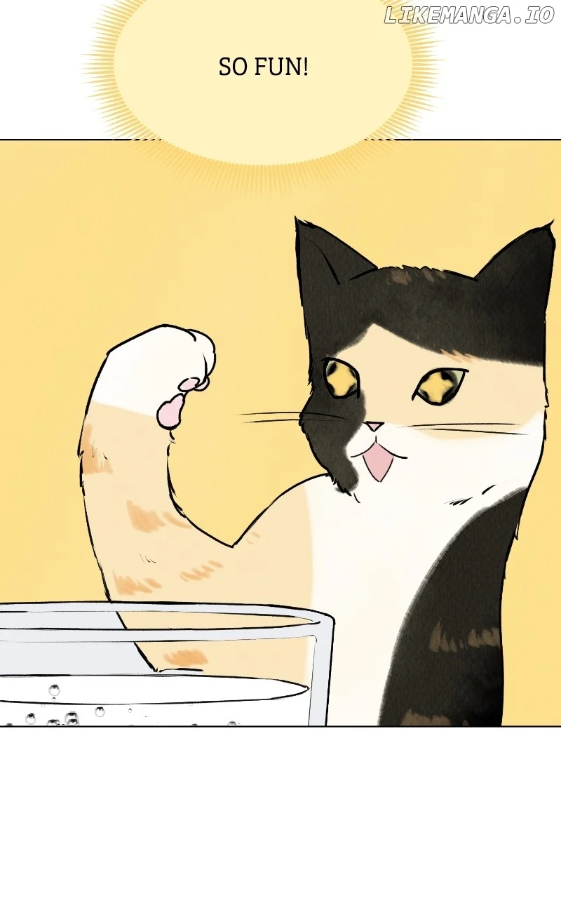 Want to See My Cat? chapter 25 page 32