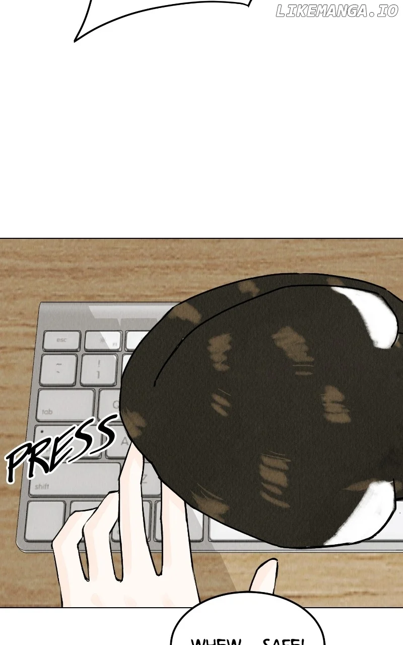 Want to See My Cat? chapter 25 page 39