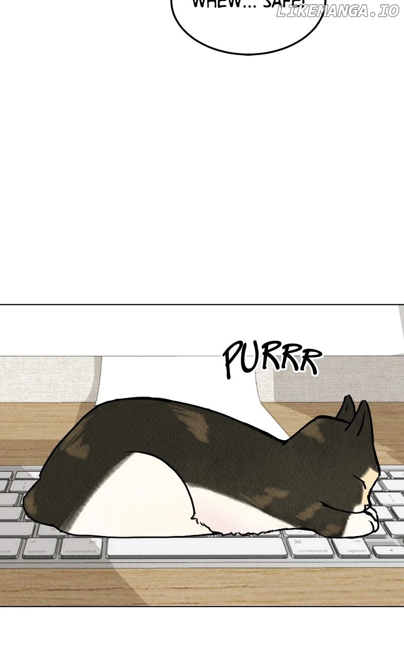 Want to See My Cat? chapter 25 page 40