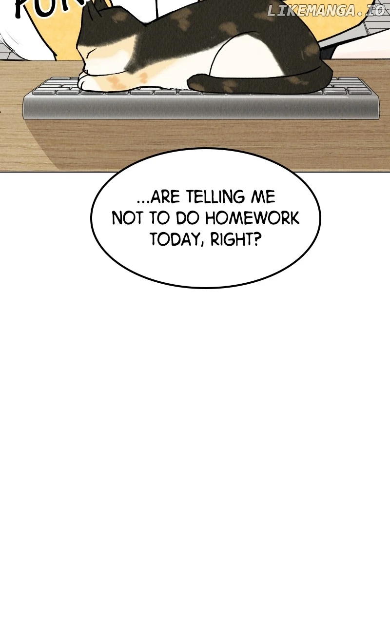 Want to See My Cat? chapter 25 page 43