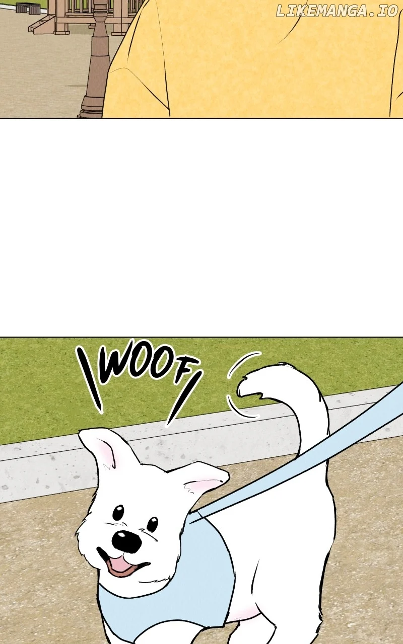 Want to See My Cat? chapter 25 page 46