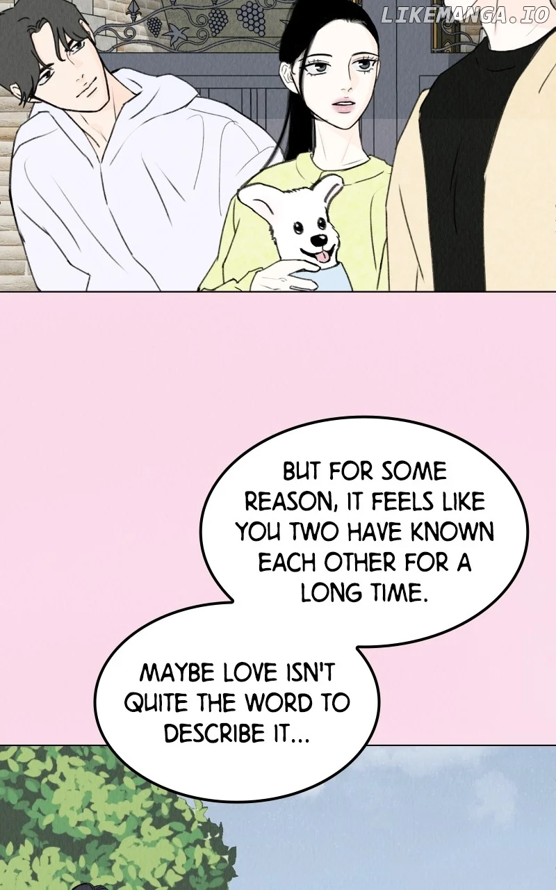 Want to See My Cat? chapter 26 page 43
